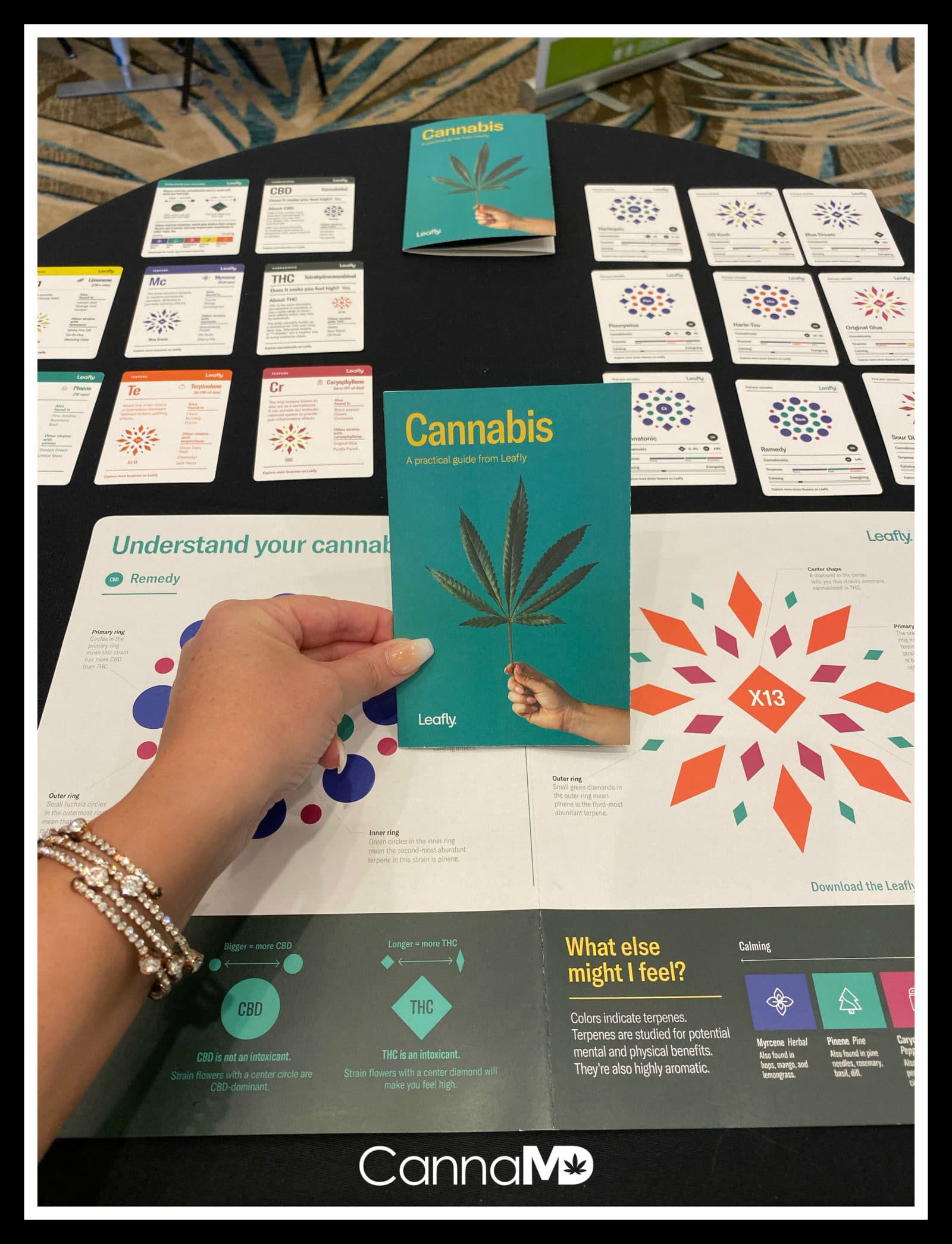 How To Use Leafly's New Cannabis Guide | CannaMD