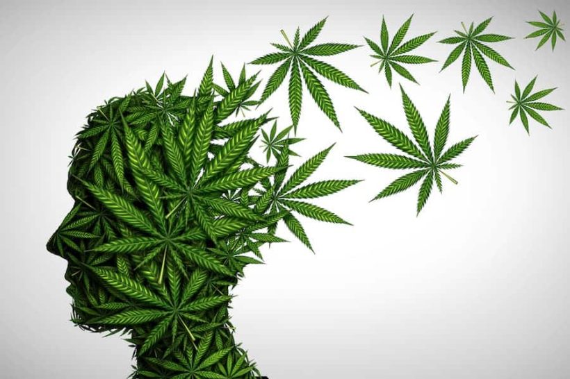 Marijuana Effects On The Brain