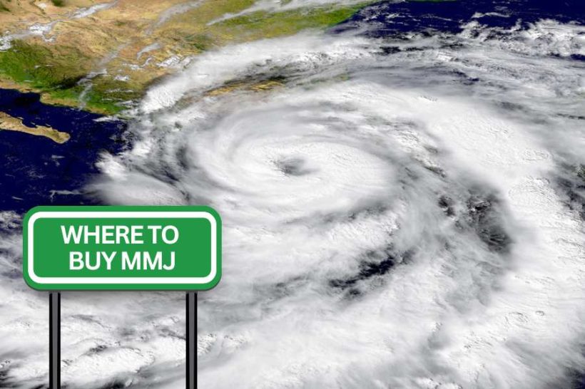 where to buy mmj after hurricane milton