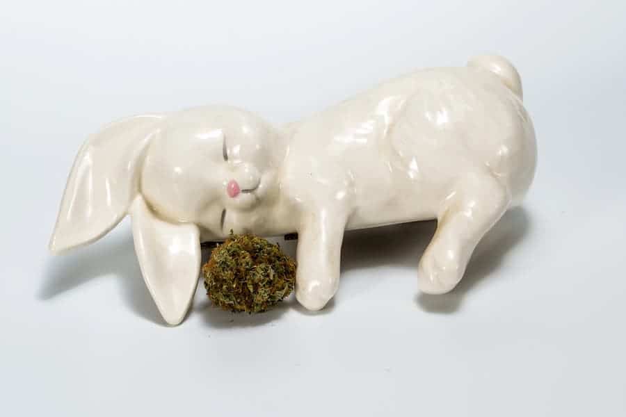 ceramic bunny with a bundle of cannabis