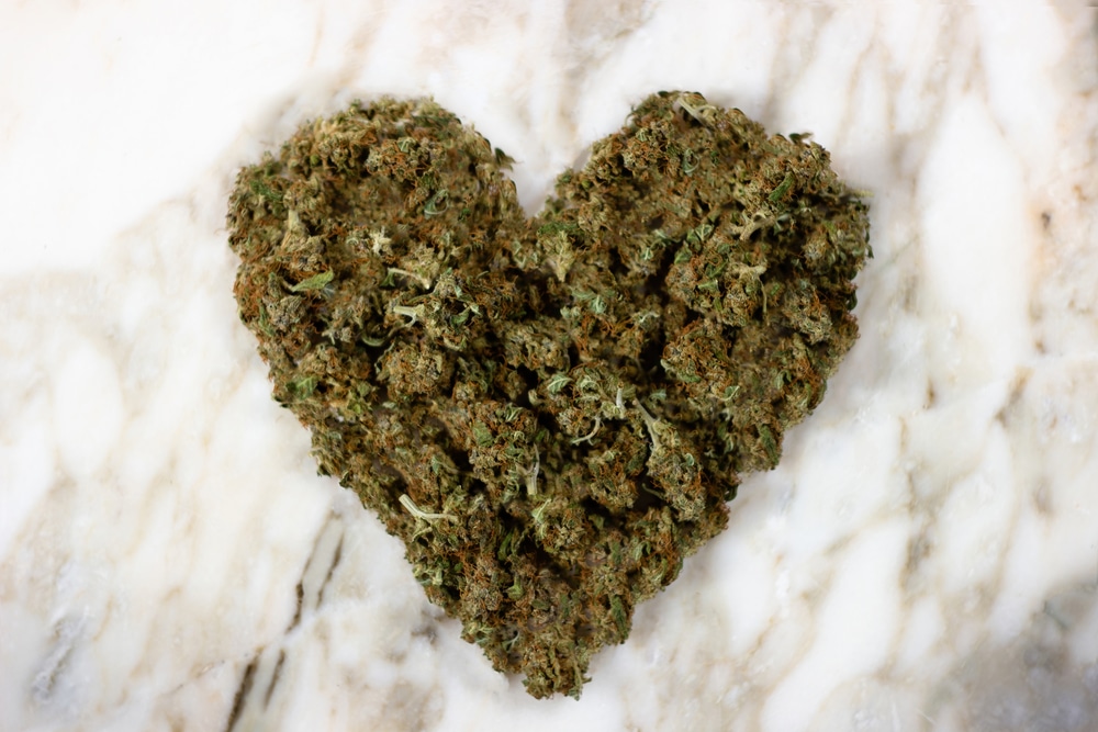 Marijuana May Reduce Heart Disease Risk | CannaMD