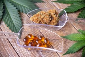 Cannabis dried flower and medical marijuana pills with green leaves over wood background