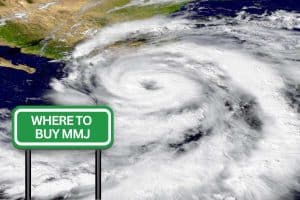 where to buy mmj after hurricane milton